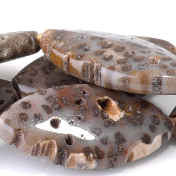 Petrified Palm Root 10x20-14x25mm Marquise - 15-16 Inch