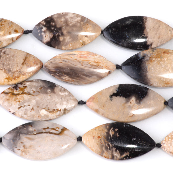 Petrified Palm Root 14x25-16x30mm Marquise - 15-16 Inch