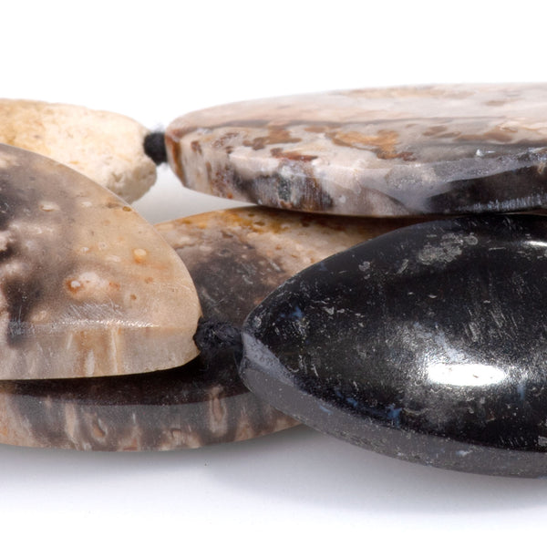 Petrified Palm Root 14x25-16x30mm Marquise - 15-16 Inch