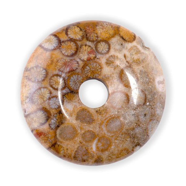 Fossil Coral Jasper 40mm Donut Pendant