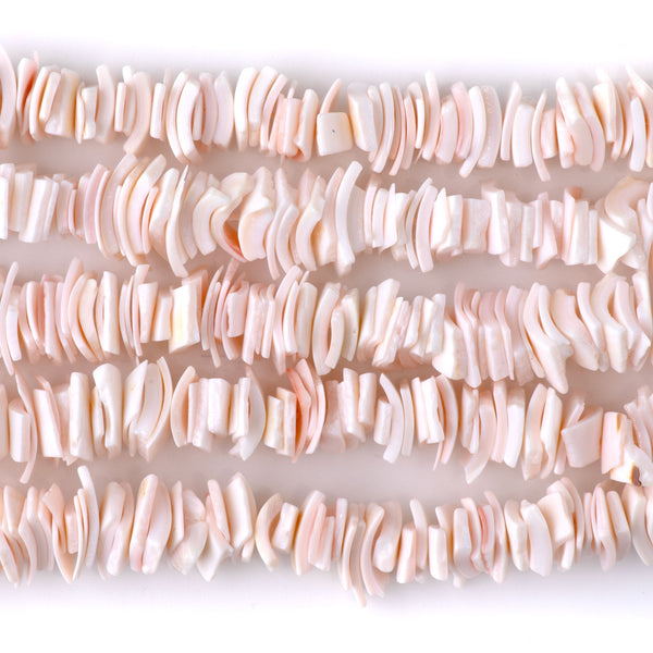 Queen Conch 8mm Chip - 15-16 Inch
