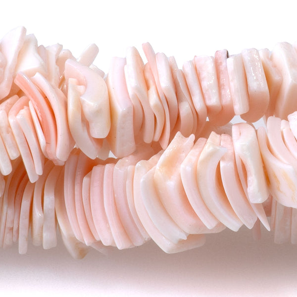 Queen Conch 8mm Chip - 15-16 Inch