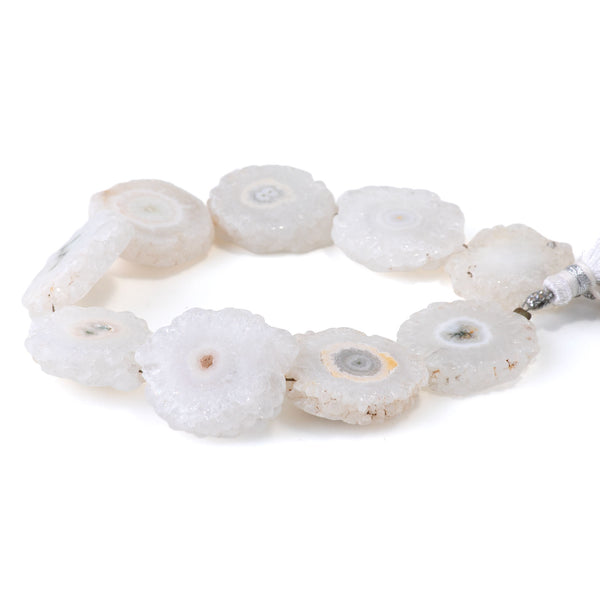 Solar Quartz 20-24mm Slice - 8 Inch