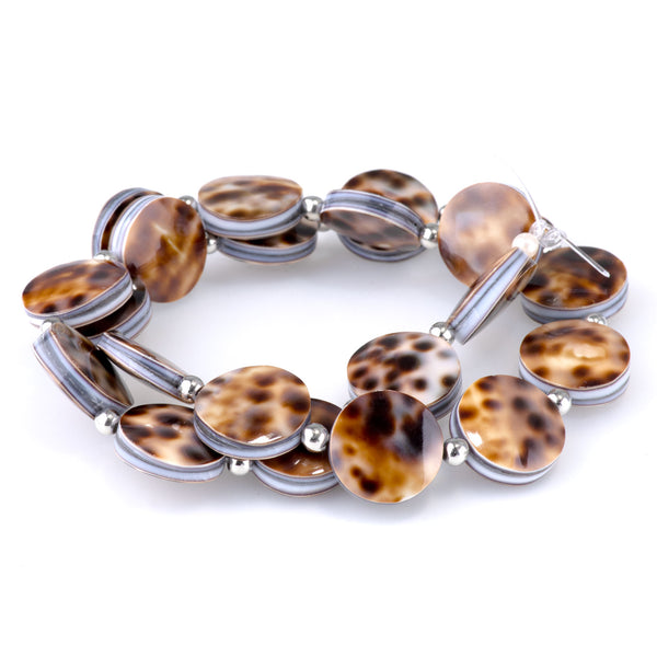 Tiger Cowrie Shell 16mm Coin - 15-16 Inch