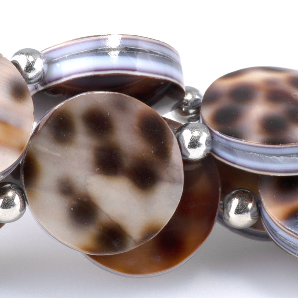 Tiger Cowrie Shell 16mm Coin - 15-16 Inch