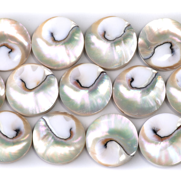 Chambered Nautilus Tiger's Eye Shell 25mm Coin - 10 Inch