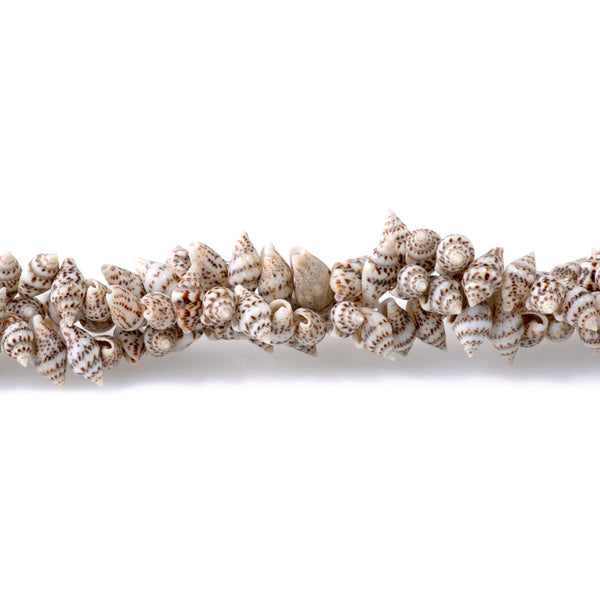 Spiral Shell 6-14mm Center Drilled Shell- 15-16 Inch