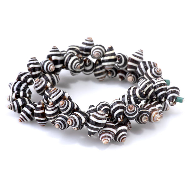 Spiral Striped Shell 6-14mm Shell - Limited Editions